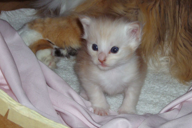 Aatu 4 weeks